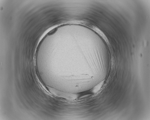 X0000085821436200704091621