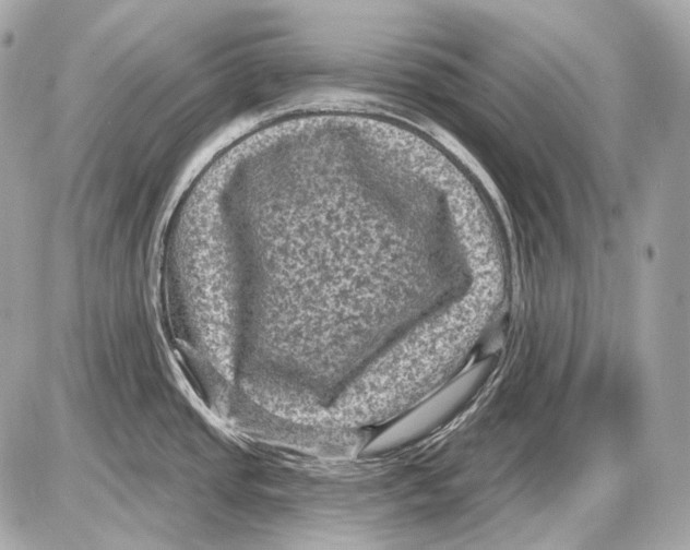 X0000085821437200704091621