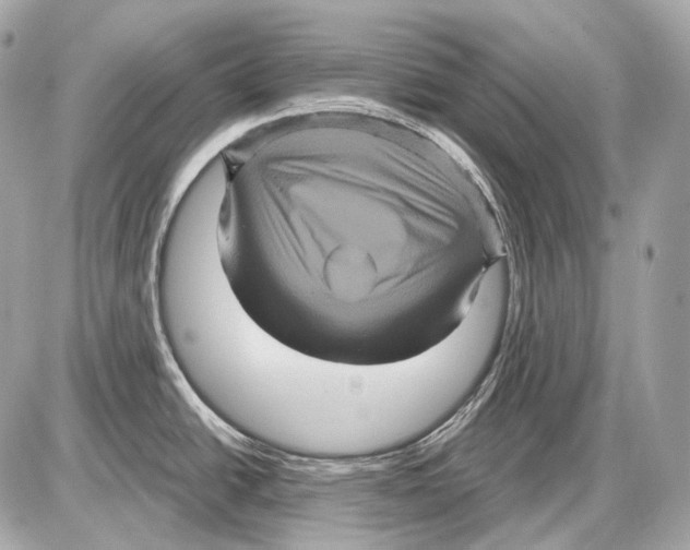 X0000085821438200704091621