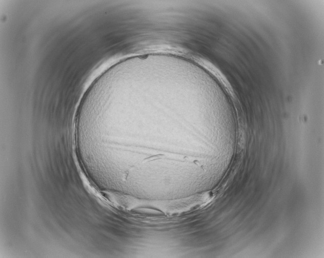 X0000085821439200704091621