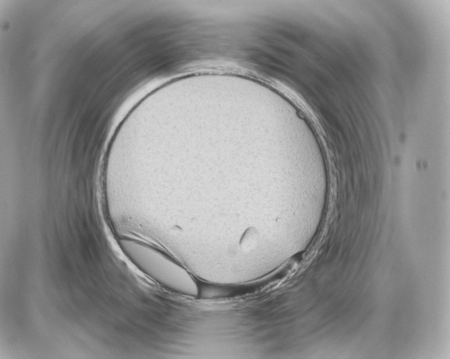 X0000085821440200704091621