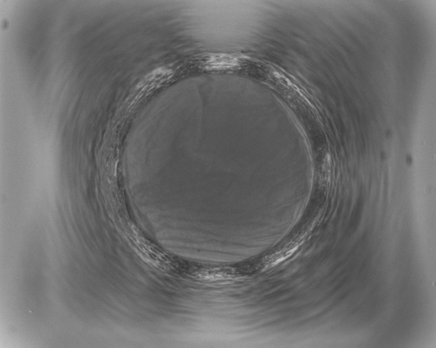 X0000085821441200704091620