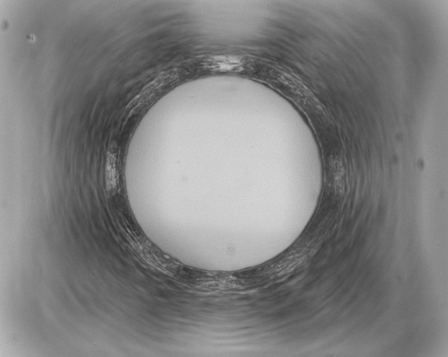 X0000085821442200704091620