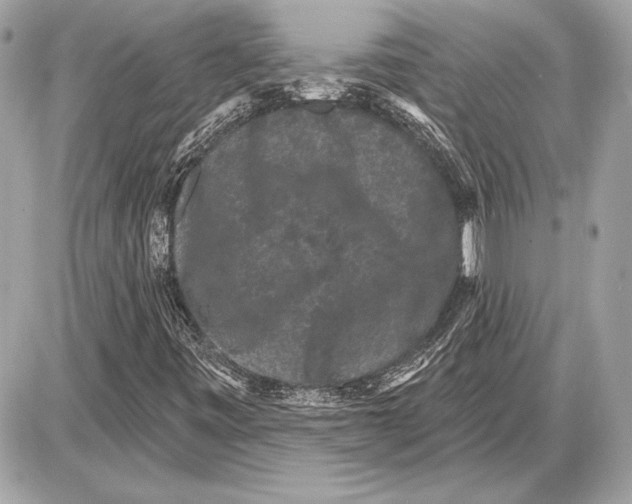 X0000085821443200704091620