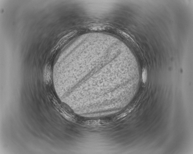 X0000085821444200704091620