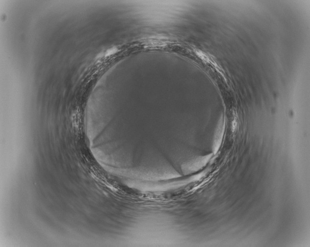 X0000085821445200704091620