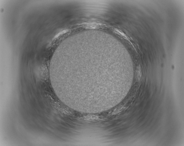 X0000085821446200704091620