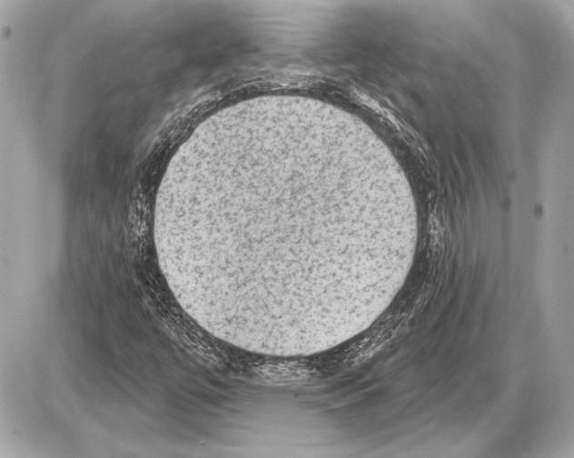 X0000085821447200704091620