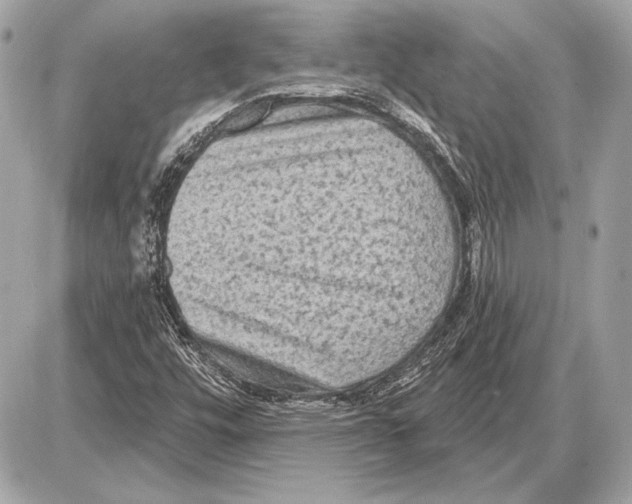 X0000085821448200704091620