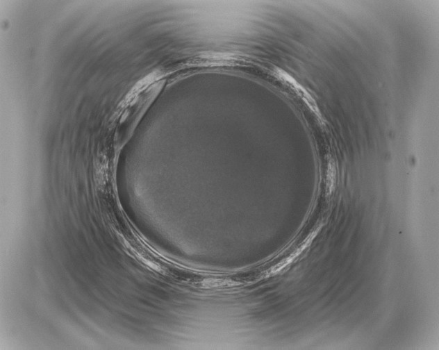 X0000085821449200704091620