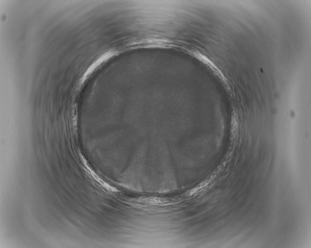 X0000085821450200704091620