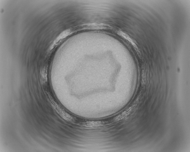 X0000085821451200704091620