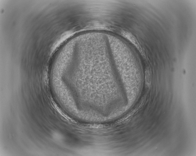 X0000085821452200704091620