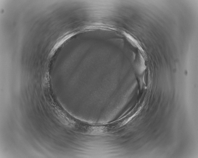 X0000085821453200704091620