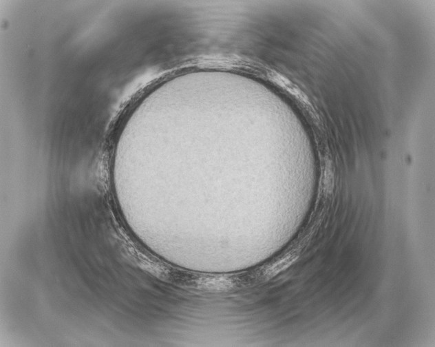 X0000085821454200704091620