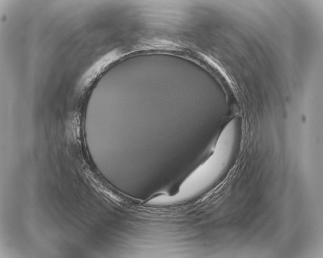 X0000085821455200704091620