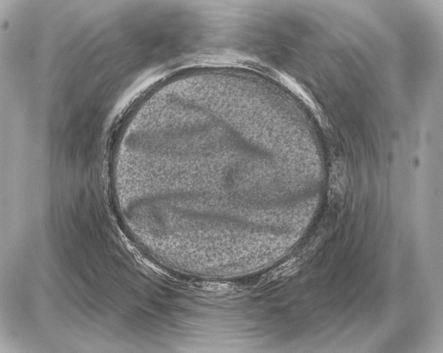 X0000085821456200704091620