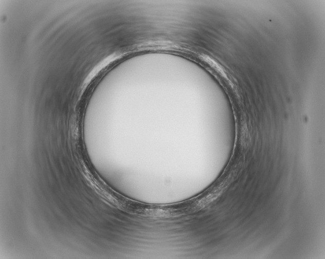 X0000085821458200704091620