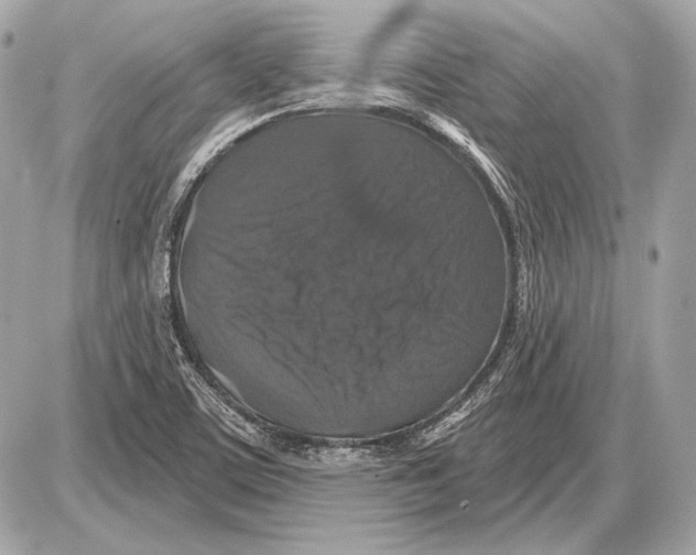 X0000085821459200704091620