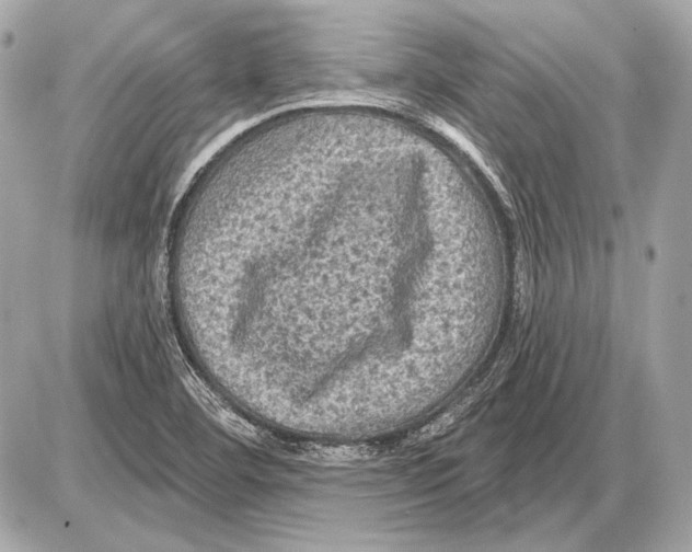 X0000085821460200704091620