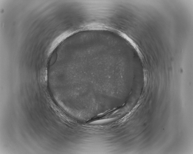 X0000085821461200704091620