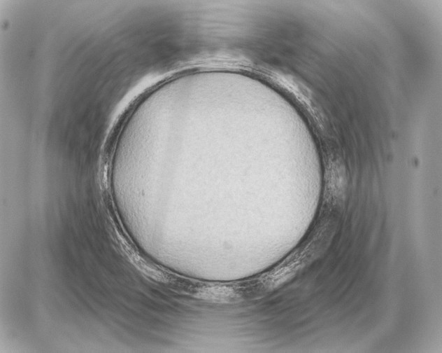 X0000085821462200704091620