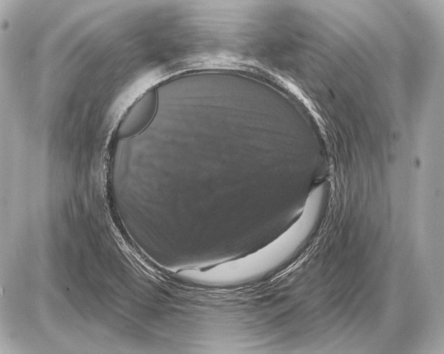 X0000085821463200704091620