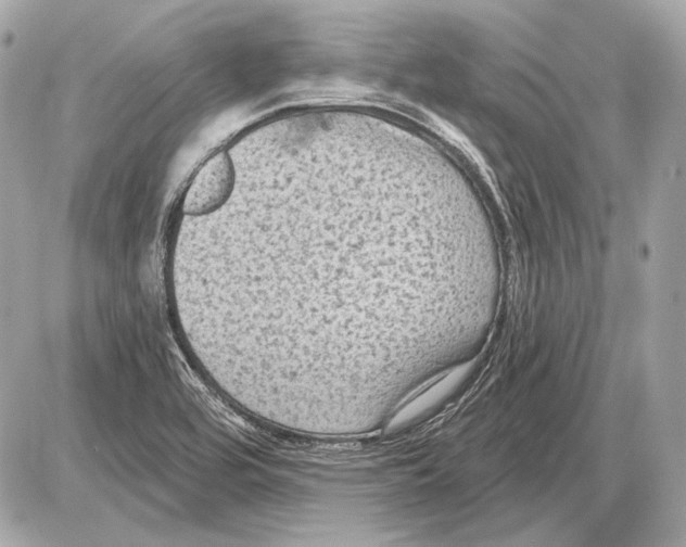 X0000085821464200704091620