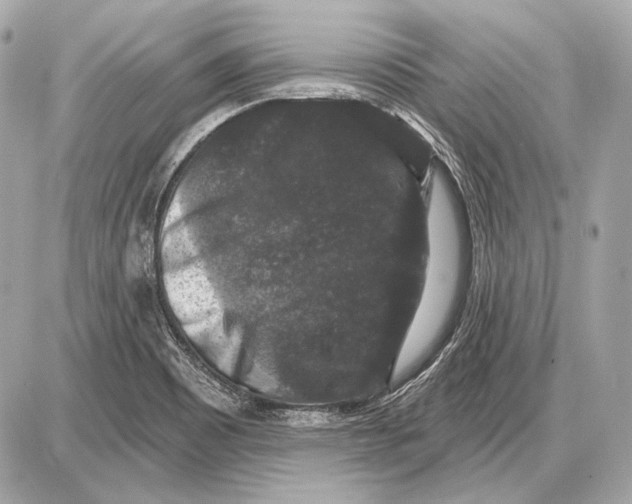 X0000085821465200704091620