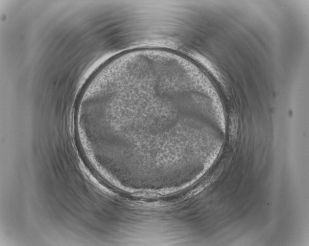 X0000085821468200704091620