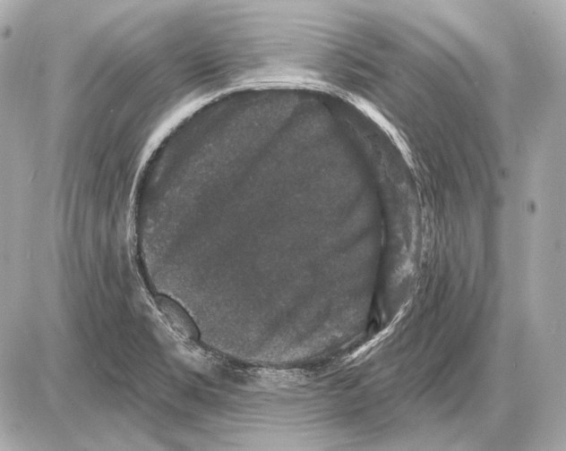 X0000085821469200704091620