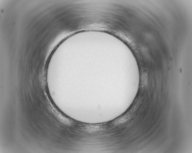 X0000085821470200704091620