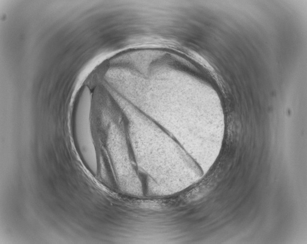 X0000085821472200704091619