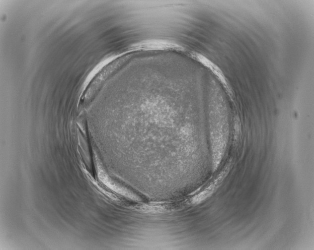 X0000085821473200704091619