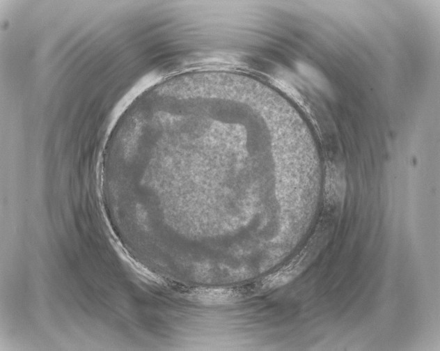 X0000085821474200704091619