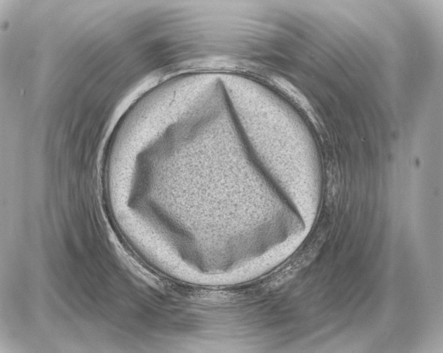 X0000085821475200704091619