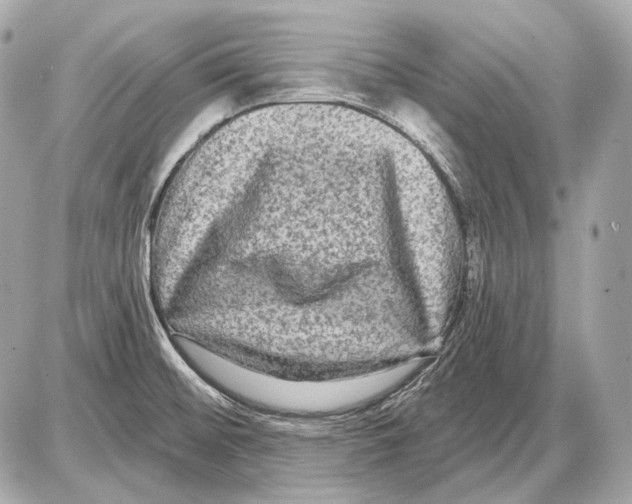 X0000085821476200704091619