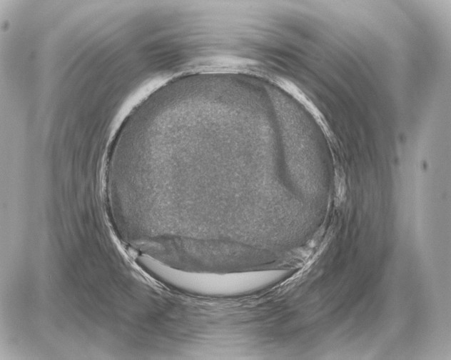 X0000085821477200704091619