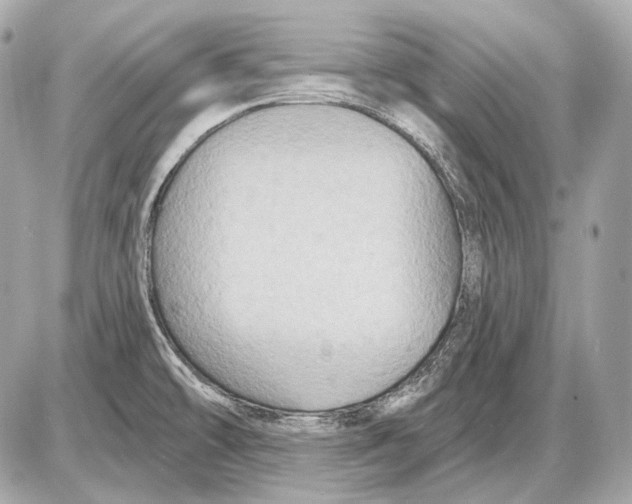 X0000085821478200704091619