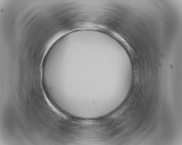 X0000085821479200704091619