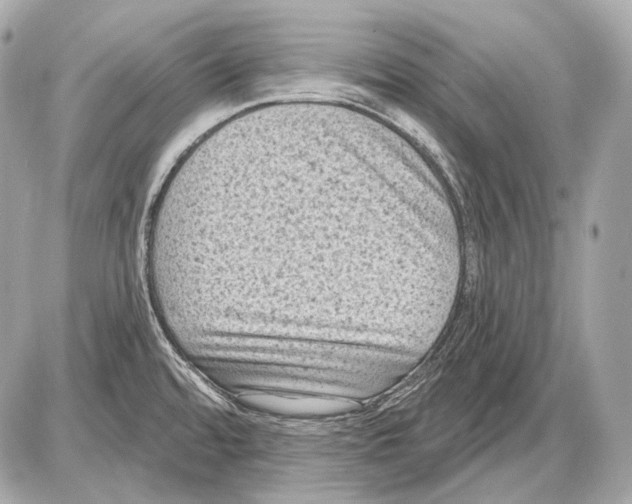 X0000085821480200704091619