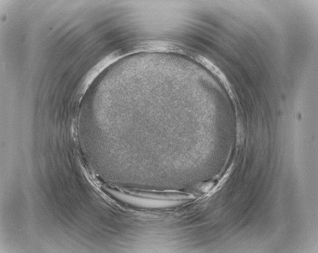 X0000085821481200704091619