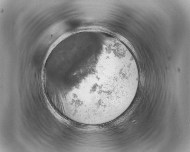 X0000085821482200704091619