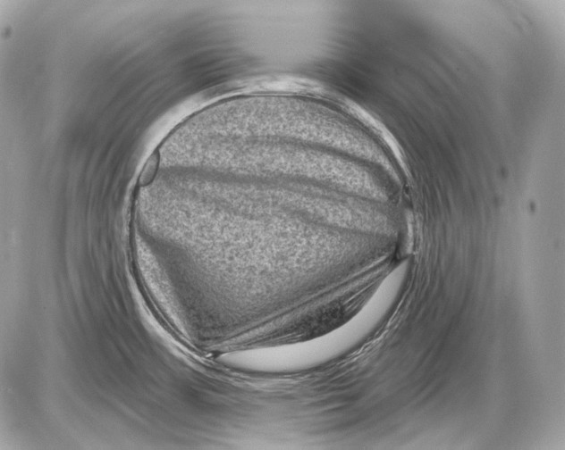 X0000085821483200704091619