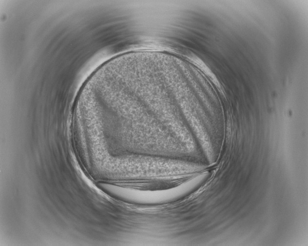 X0000085821484200704091619