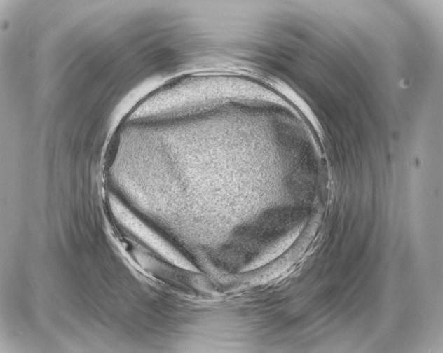 X0000085821485200704091619