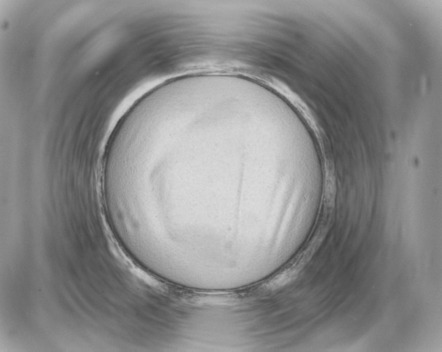 X0000085821486200704091619