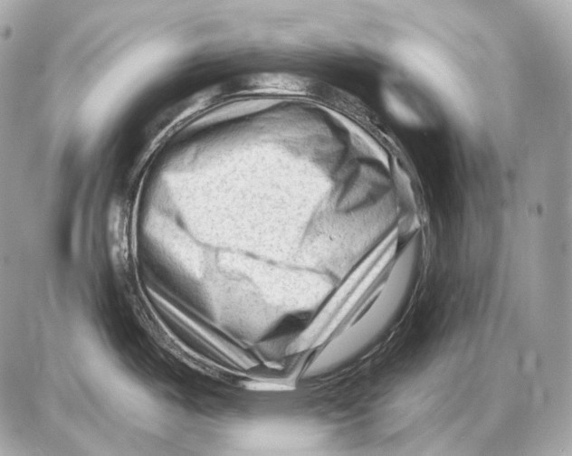 X0000085821487200704091619