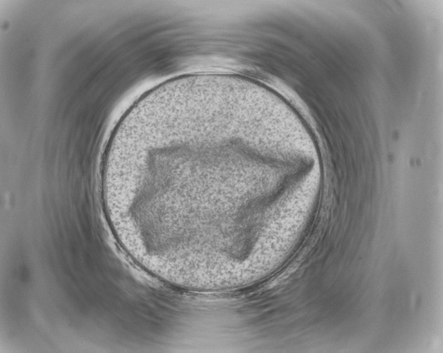 X0000085821488200704091619