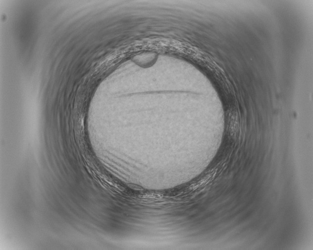 X0000085821489200704091618